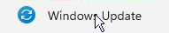 Windows Update